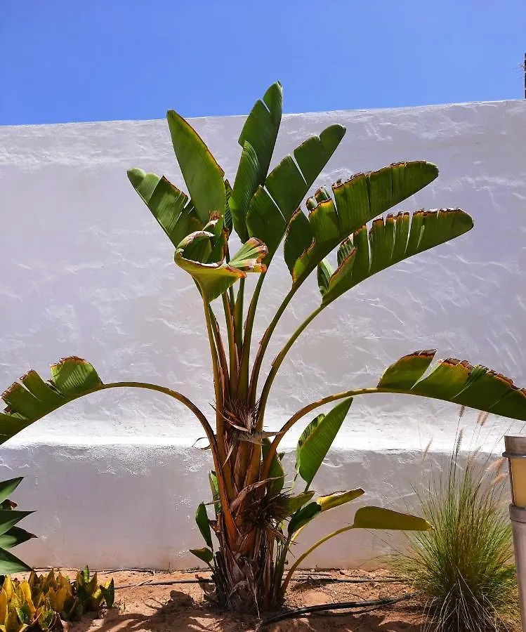 Apartmán Casa Vivi Fuerteventura Corralejo 0*,  Španělsko