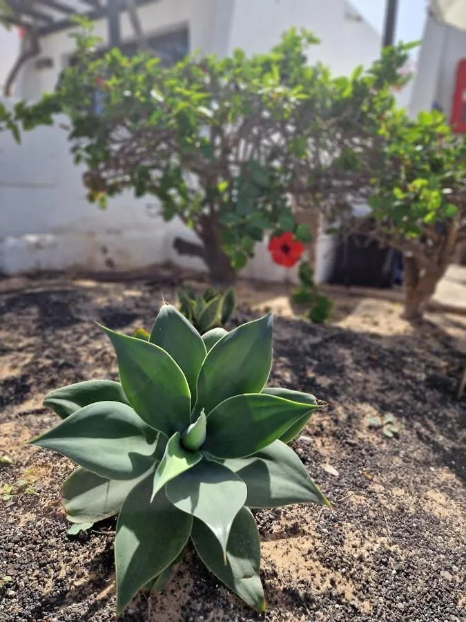 Apartmán Casa Vivi Fuerteventura Corralejo